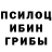 Галлюциногенные грибы Psilocybe Sanny UwU