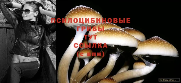 бутират Касимов