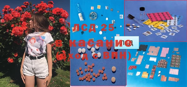 ГАЛЛЮЦИНОГЕННЫЕ ГРИБЫ Карпинск